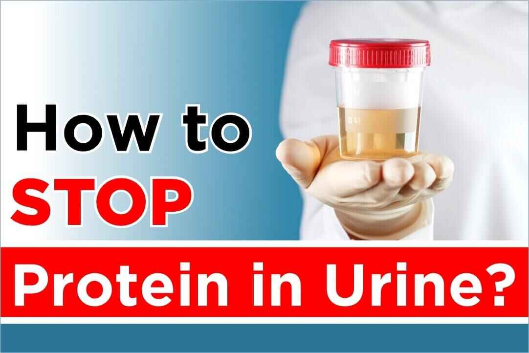 How to Stop Protein in Urine?